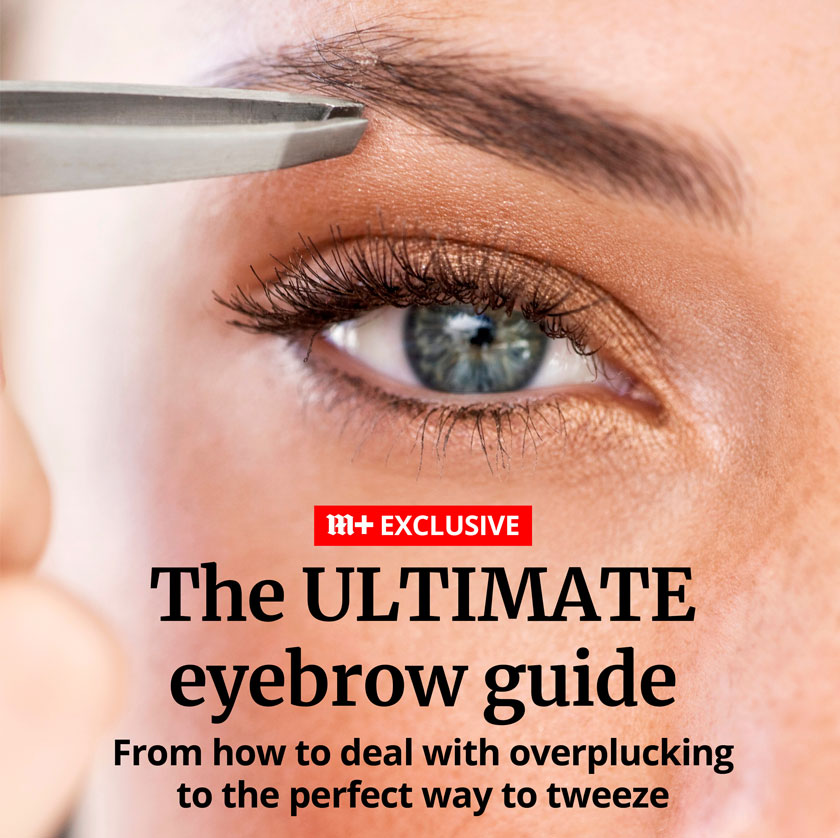 mailplus preview ultimate eyebrow guide