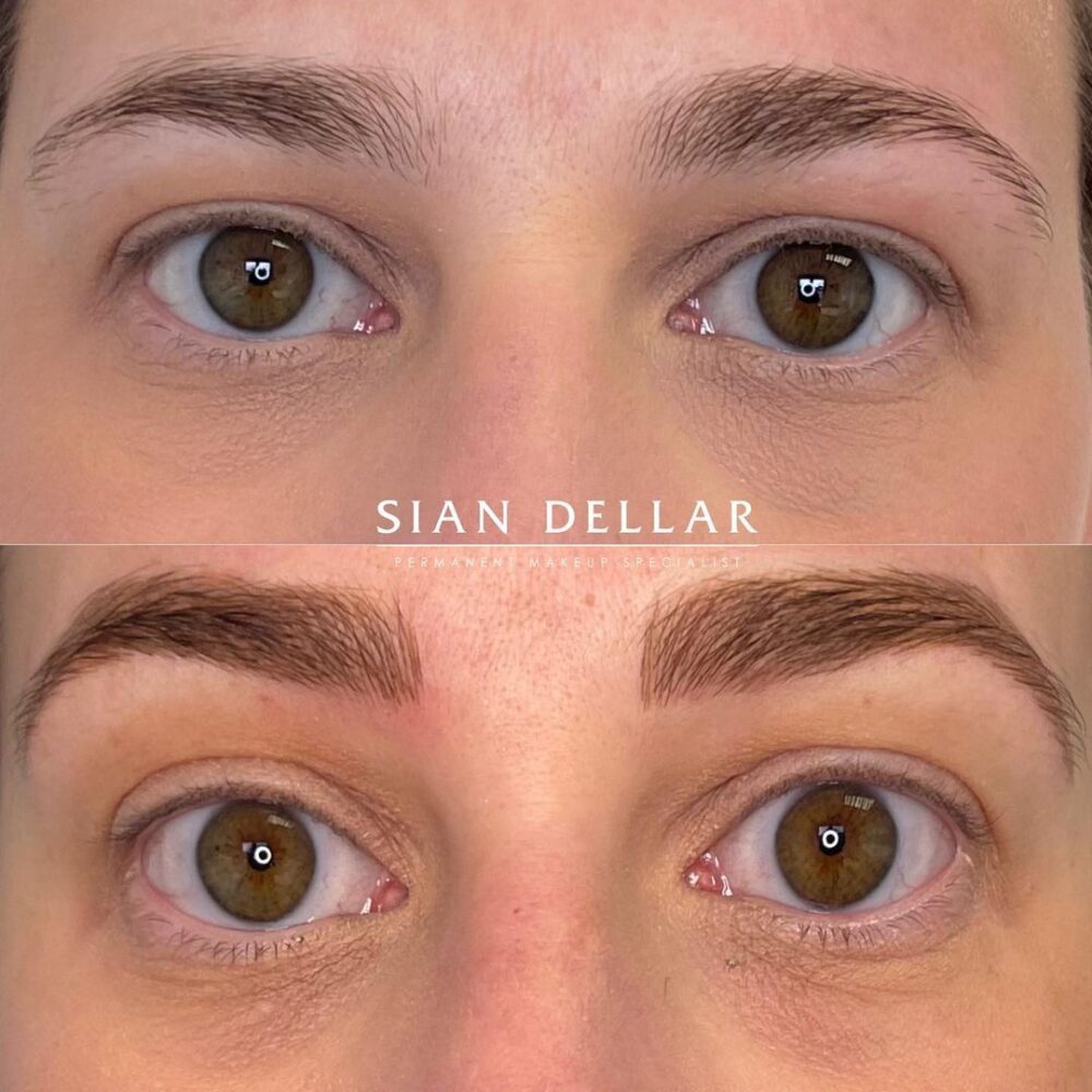 Thicker fuller defined brow shape