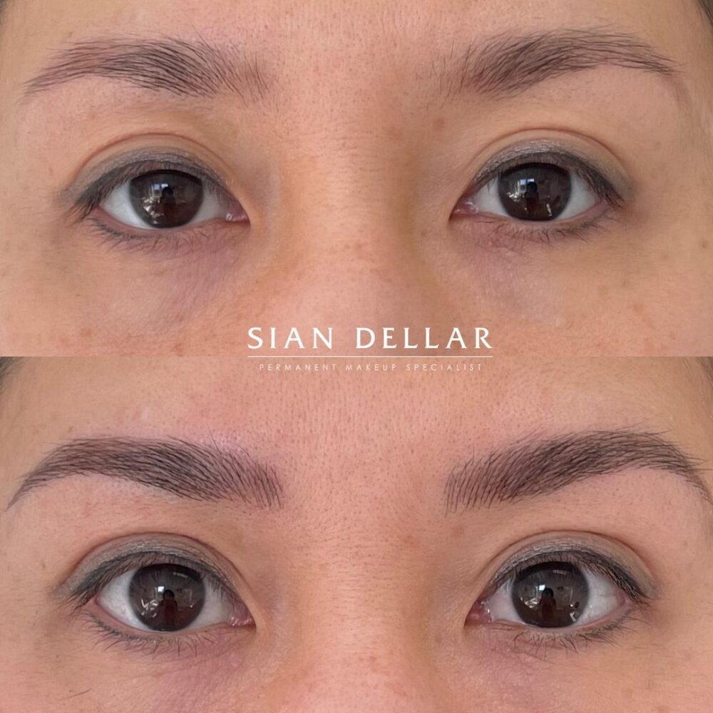 Dark brow fuller thicker look