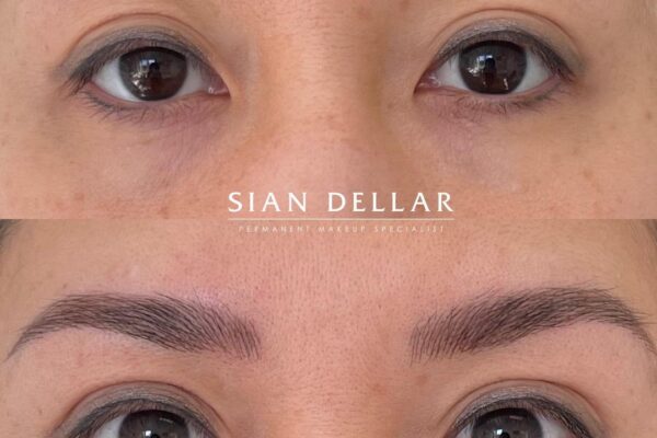 Dark brow fuller thicker look