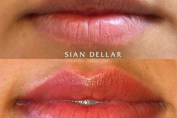 Rosy pink well-defined lips with lip blush